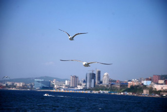Vladivostok Boat Show will be held again